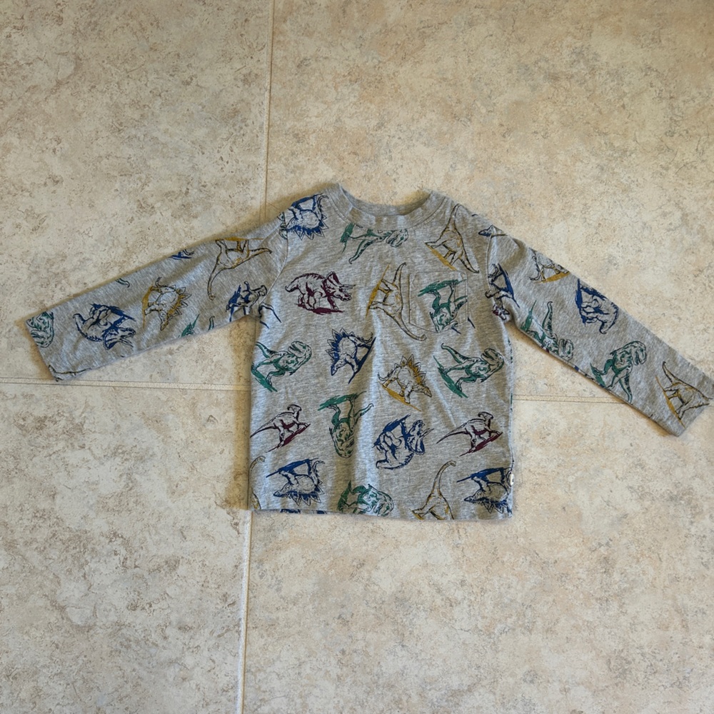 Baby GAP Gray Dinosaur 100% Cotton Long-Sleeve Graphic Tee, 2T